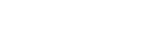 Life Extension